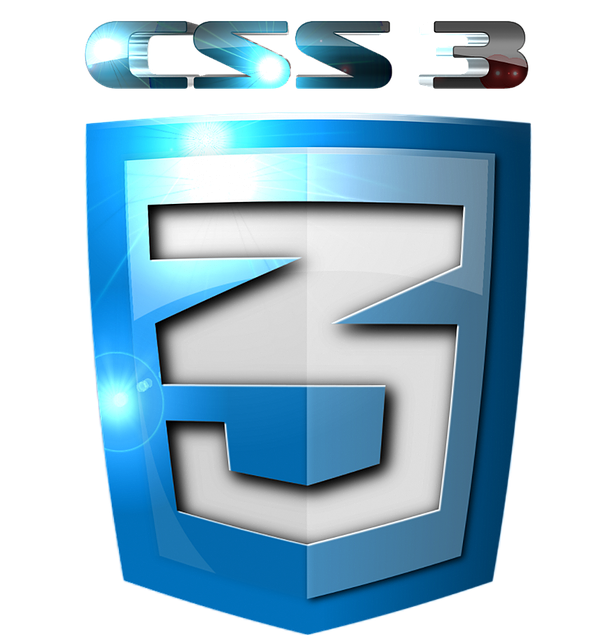 CSS3 Icon